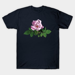 Roses - Delicate Pink Rose T-Shirt